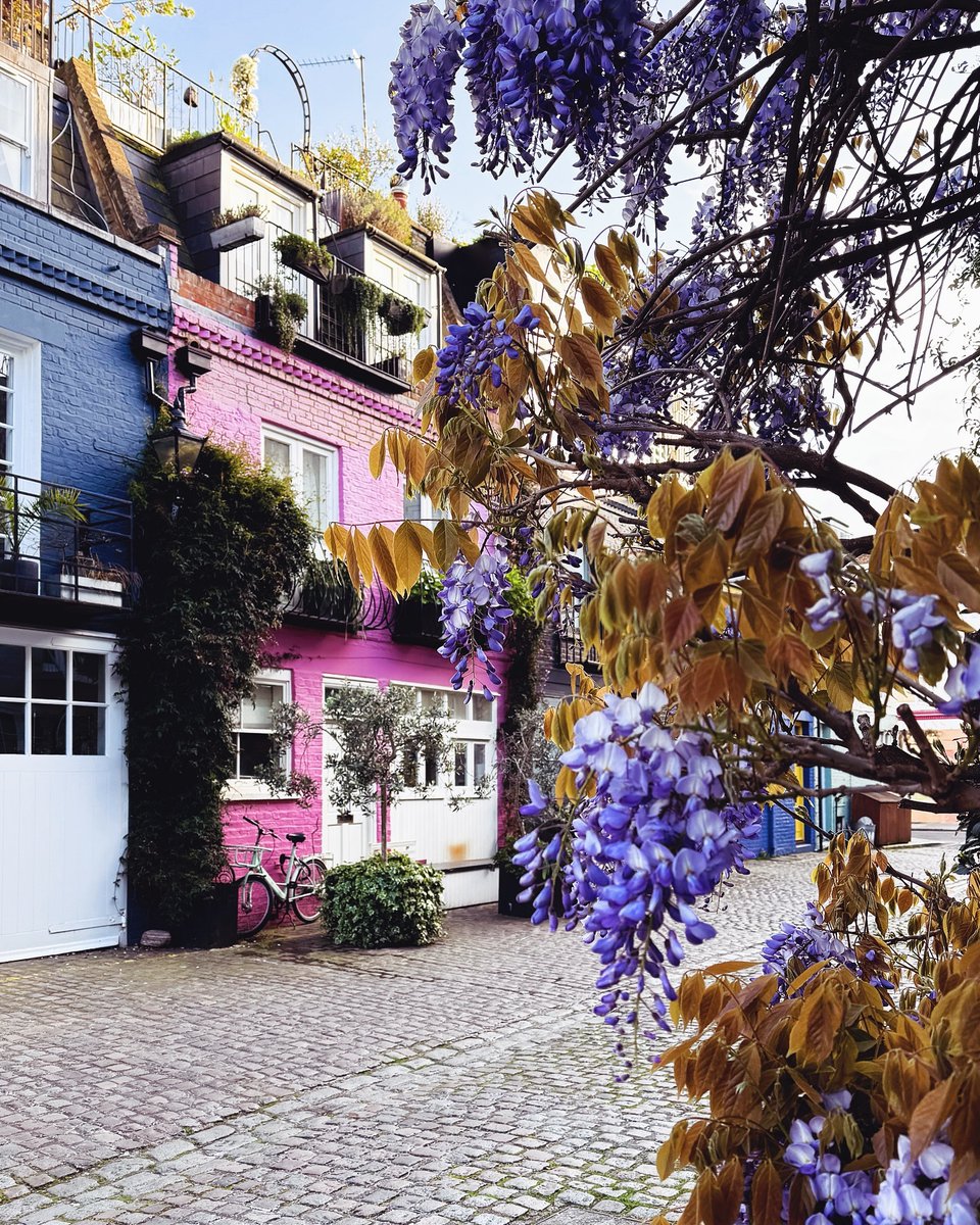 Pretty little mews💜 [📸 @explorethepretty] #LetsDoLondon #VisitLondon ow.ly/76jY50RlXP4