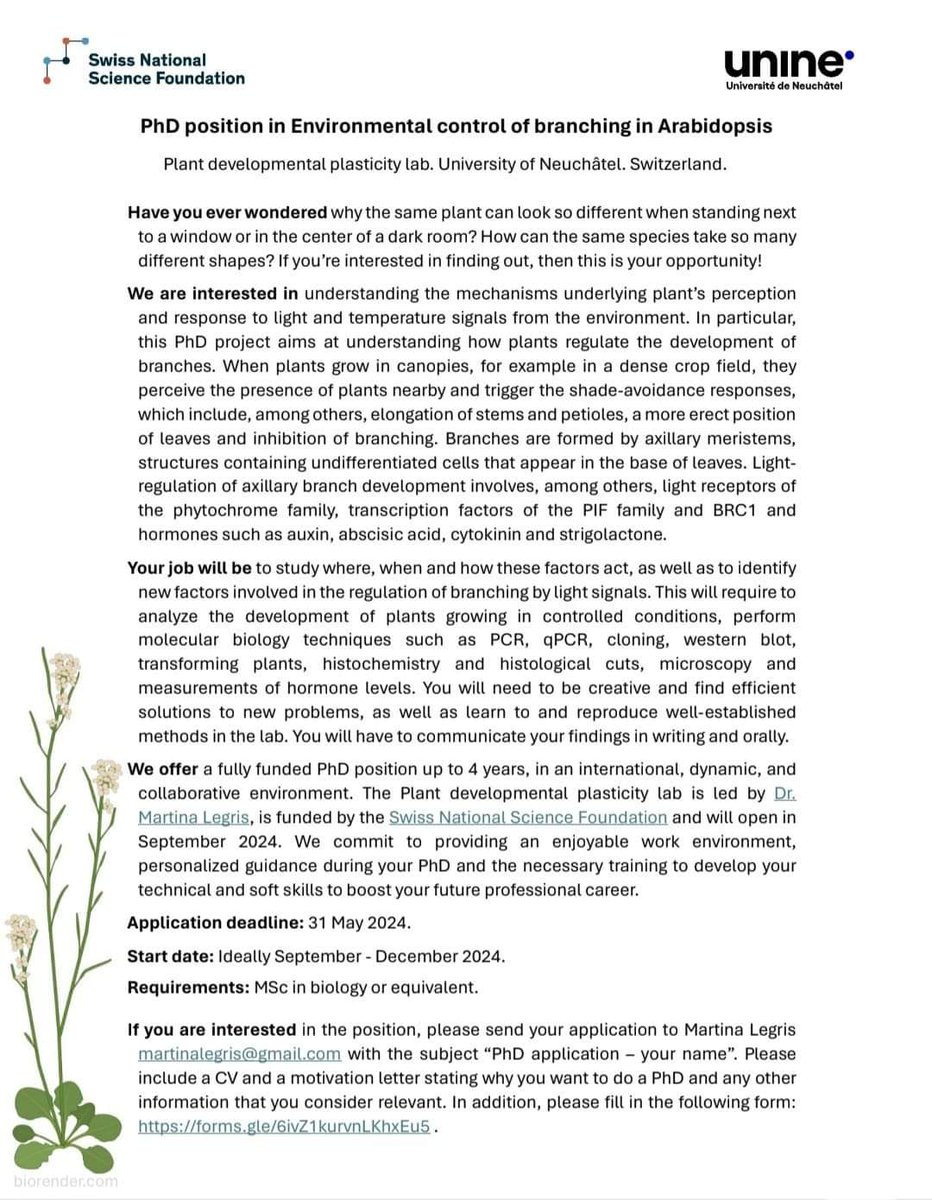 Funded #PhD environmental control of branching in Arabidopsis

details here:
unine.ch/biologie/

#Switzerland