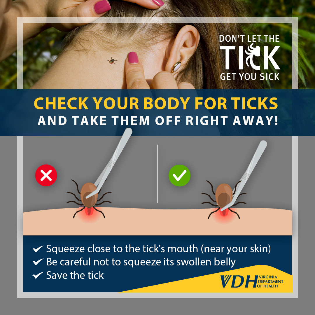 Tick Check! If you have been outside, check your whole body for ticks. Take them off them carefully and talk to your doctor if you develop a rash or fever. Learn more about the best way to remove a tick at ow.ly/3Ryr50RmnPe #TickFreeThursdays