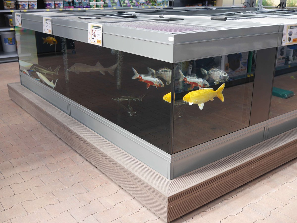Experience excellence with our aquatics range! 🐠✨ Bringing you the latest innovations in aquarium displays, maintenance, and filtration our aquatics range sets industry standards by providing high quality products that enhance your customer experience and improve fish health.