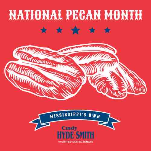 It’s National Pecan Month! What is your favorite way to eat Mississippi pecans?