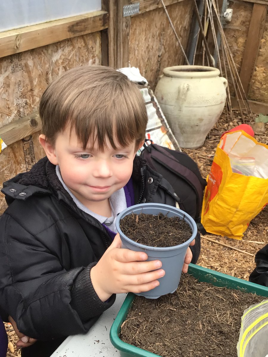 Reception children loved gardening and looking at tadpoles and other living things in Albany. Thank you David and Izzy for your great workshops. GL #Albany #goodtogrow2024