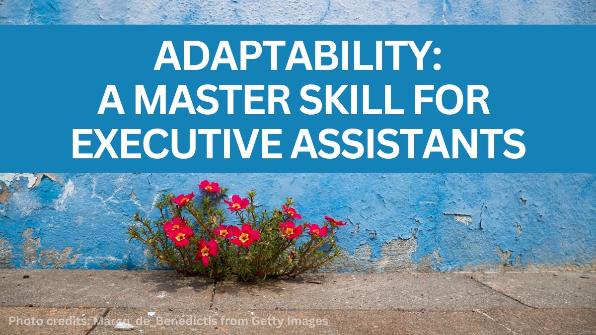 FlyPrivate's tweet photo. In her latest article, @JonesJanAuthor "shares strategies for building adaptability, including understanding the interplay of other EA "Intangible” skills that will support and enhance your adaptability skills..." https://t.co/nl2SGH2h7v #flyprivate #executiveassistants #EAs https://t.co/4WhddEfALZ