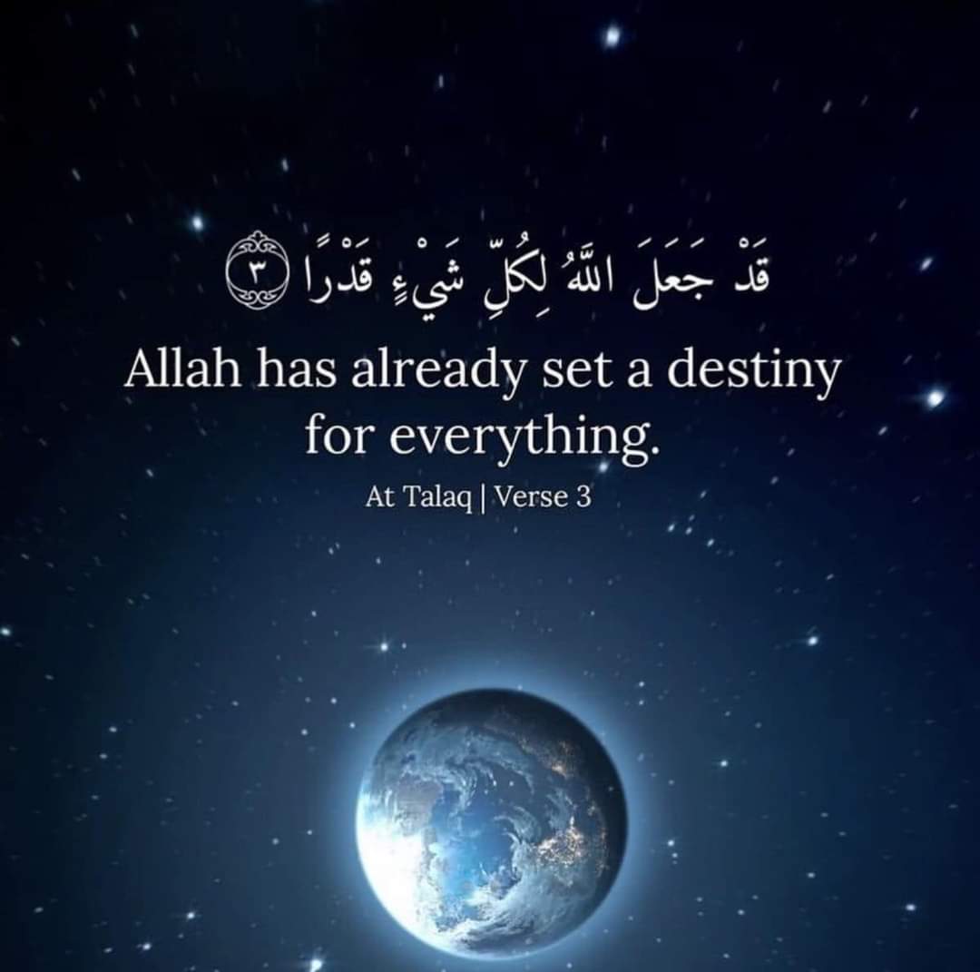 TalhaRe45889144's tweet photo. #jjk258 #الديوان_الملكي #faiz #dilanpolat #earthquake #thursdayvibes #Trending #QuranQareemPk https://t.co/vJgcssvMwq