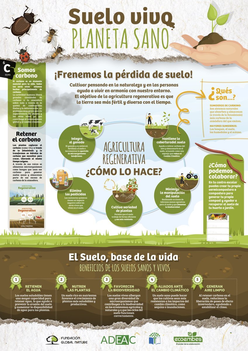 🌱 Adoptar prácticas agrícolas más sostenibles no solo beneficia a la salud de los suelos y a la biodiversidad, también a la calidad de los alimentos que consumimos🍅✨ ¿Qué acciones definen la agricultura regenerativa? Descúbrelo en esta infografía de #HuertosDeBiodiversidad 😉