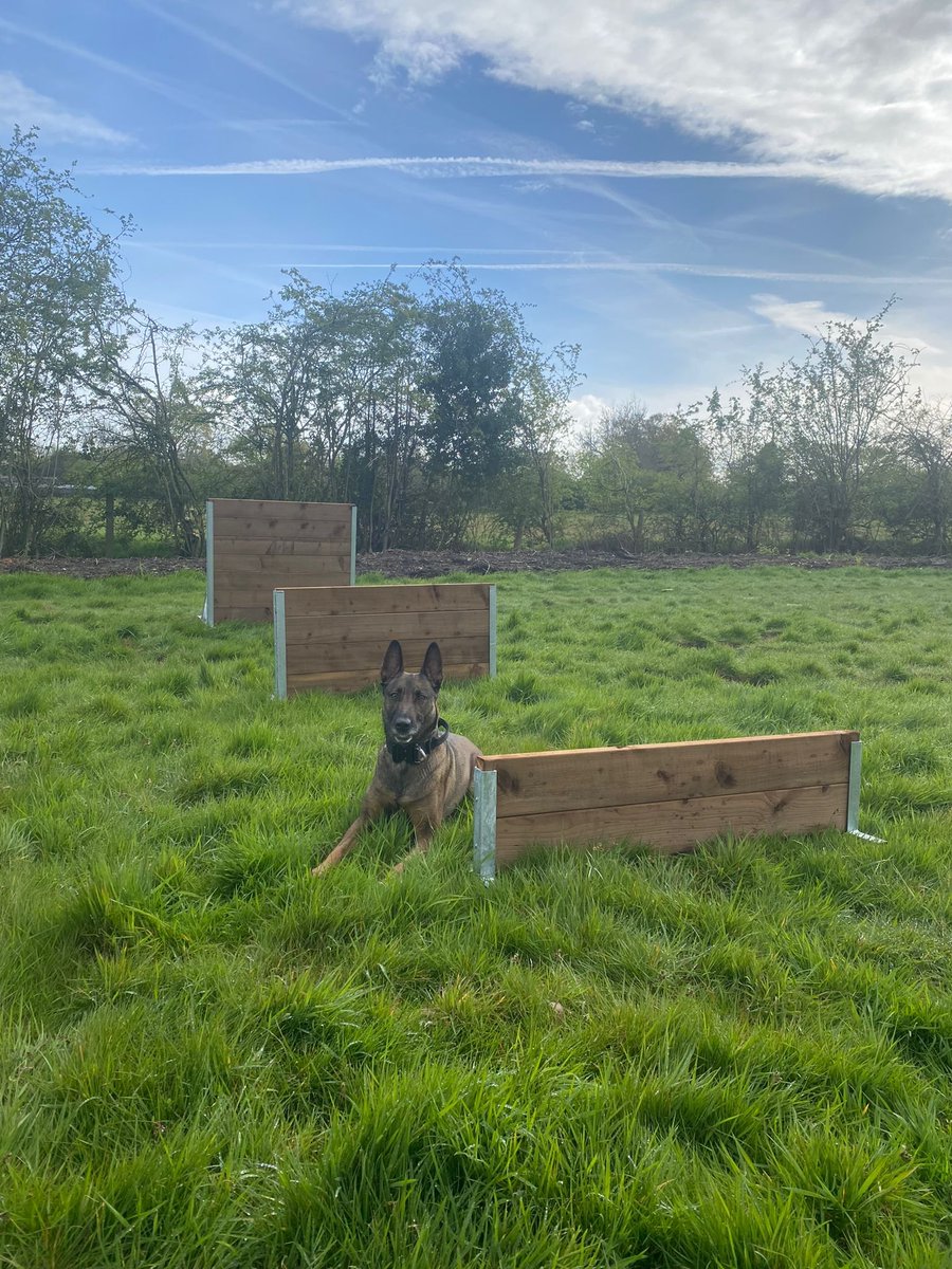 We're getting excited for the @PoliceDogTrials in May thank you timber build @dogkennelsruns for the agility equipment...