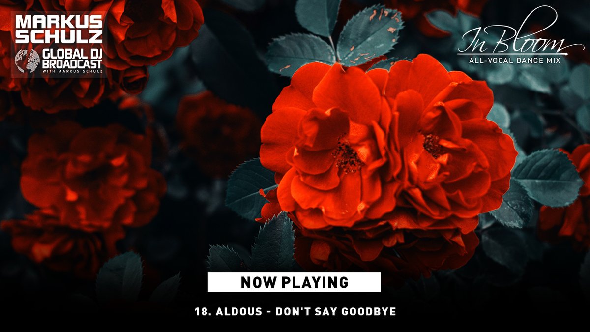 18. Aldous - Don't Say Goodbye #gdjb #inbloom youtube.com/watch?v=dv7upU…