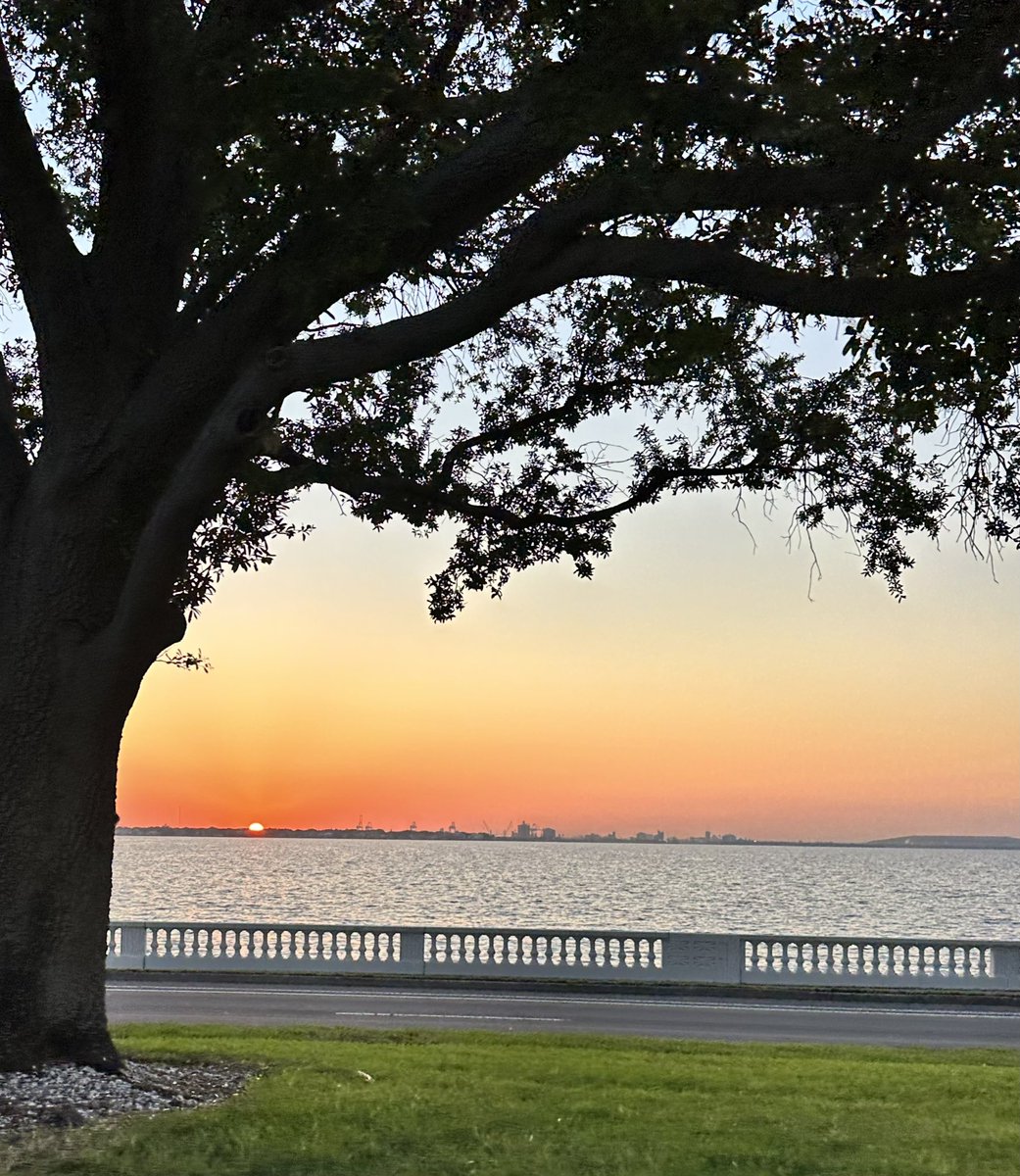 There you are Thursday morning ☀️ 
Have a great day @deidrejowen 🧡
#TampaBay #GoodMorning