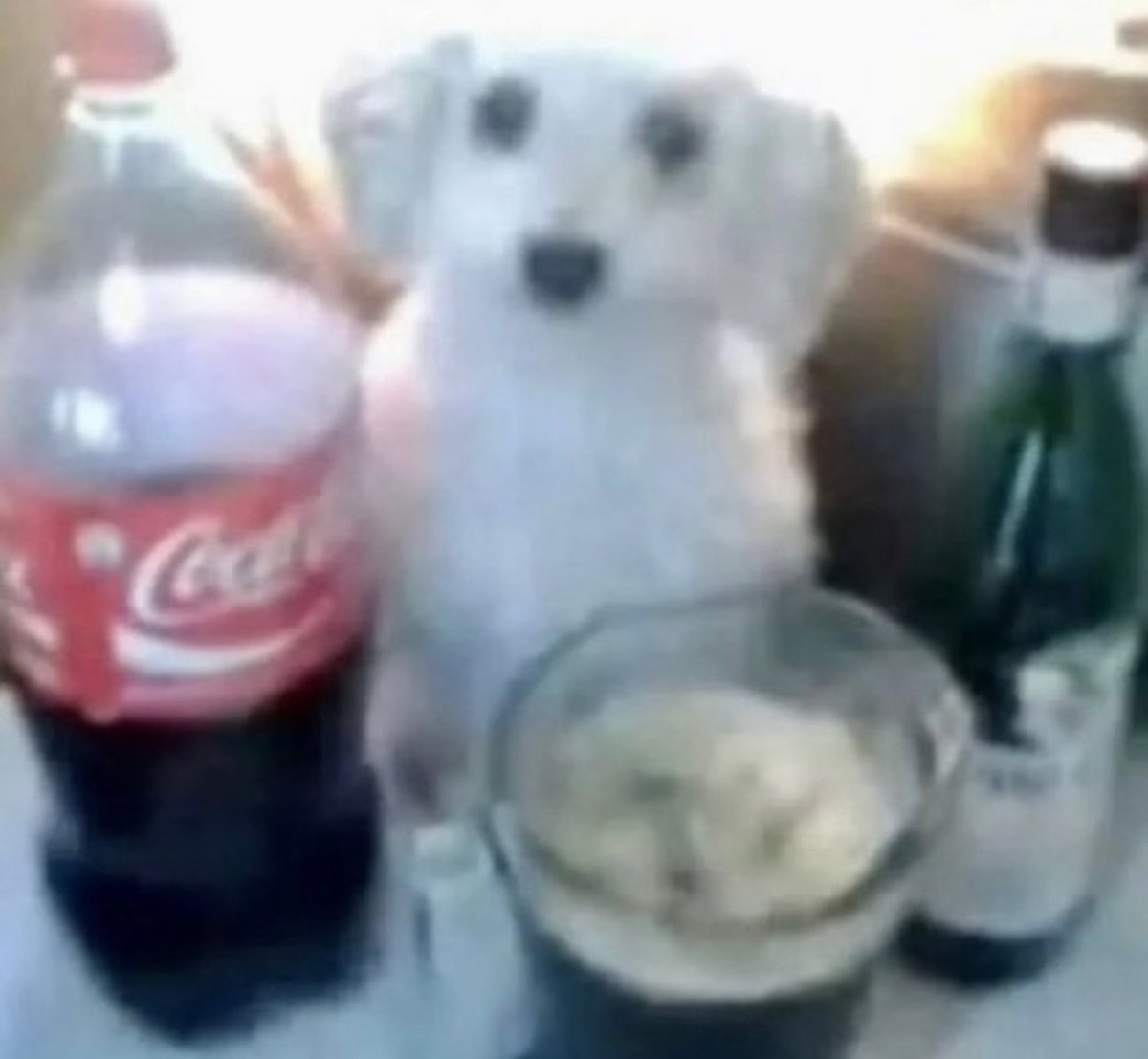 𝑰𝑴 𝑻𝑰𝑹𝑬𝑫 ! ! ! tweet media