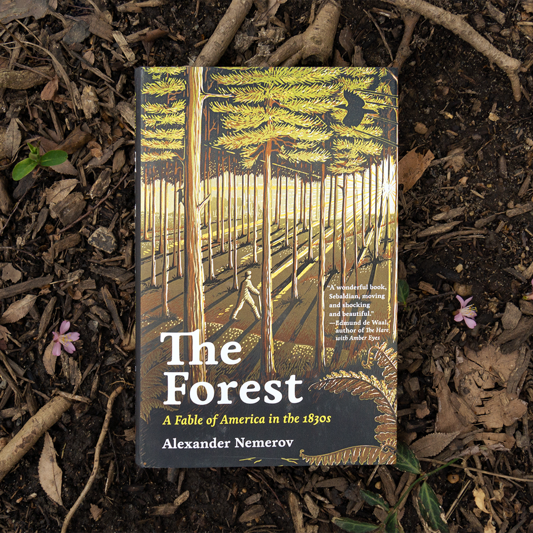 .@USCDornsife welcomes Alexander Nemerov for a discussion on his latest book, The Forest: A Fable of America in the 1830s, tomorrow (April 26) at 12 pm PDT. For more details, please visit: hubs.ly/Q02tFN4T0