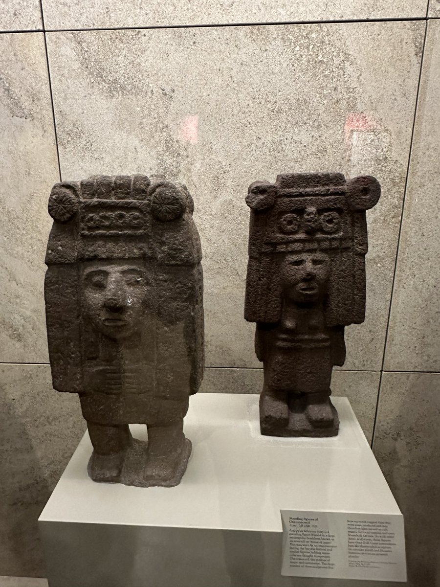 Standing figures of Chicomecoatl, an Aztec goddess, which date to c.1300-1521 and are on display in @britishmuseum The sculptures were likely mass produced and used as cult objects in shrines and houses #aztecs #mexico #mexica #britishmuseum