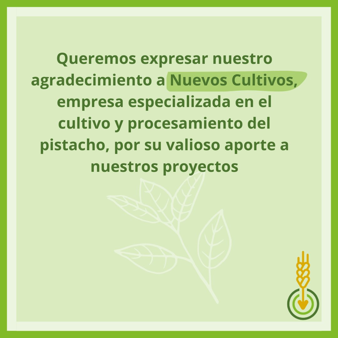 Queremos expresar nuestro agradecimiento a <a href="/nuevoscultivos/">Nuevos Cultivos</a>, empresa especializada en el cultivo y procesamiento del pistacho, por su valioso aporte a nuestros proyectos 💯👏.