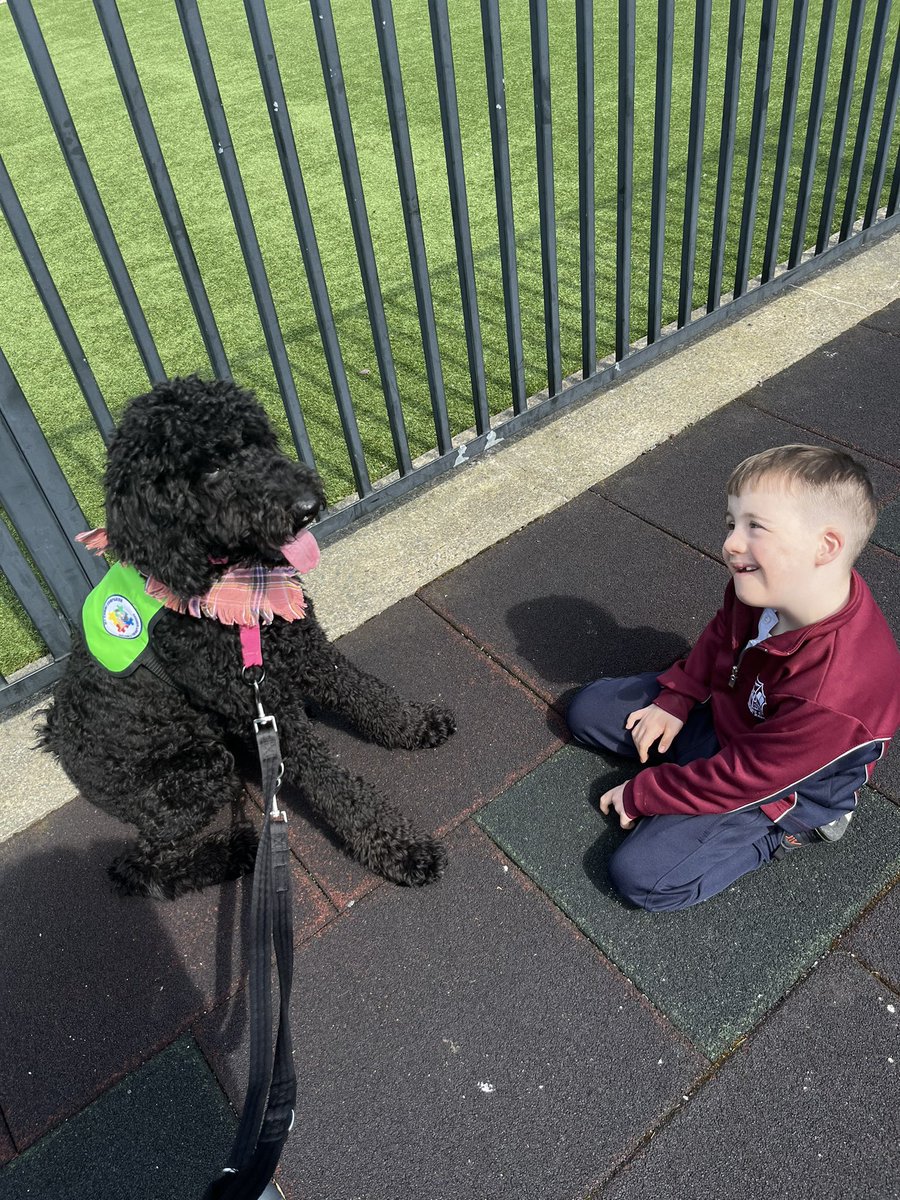 🐾 Uni, our @mycaninecompani school therapy dog in training headed off for a beach break after catching up with her besties. After all her tail wagging and paw shaking, she was ready for some sand and surf! 🏖️ #Pawsome #teammcc