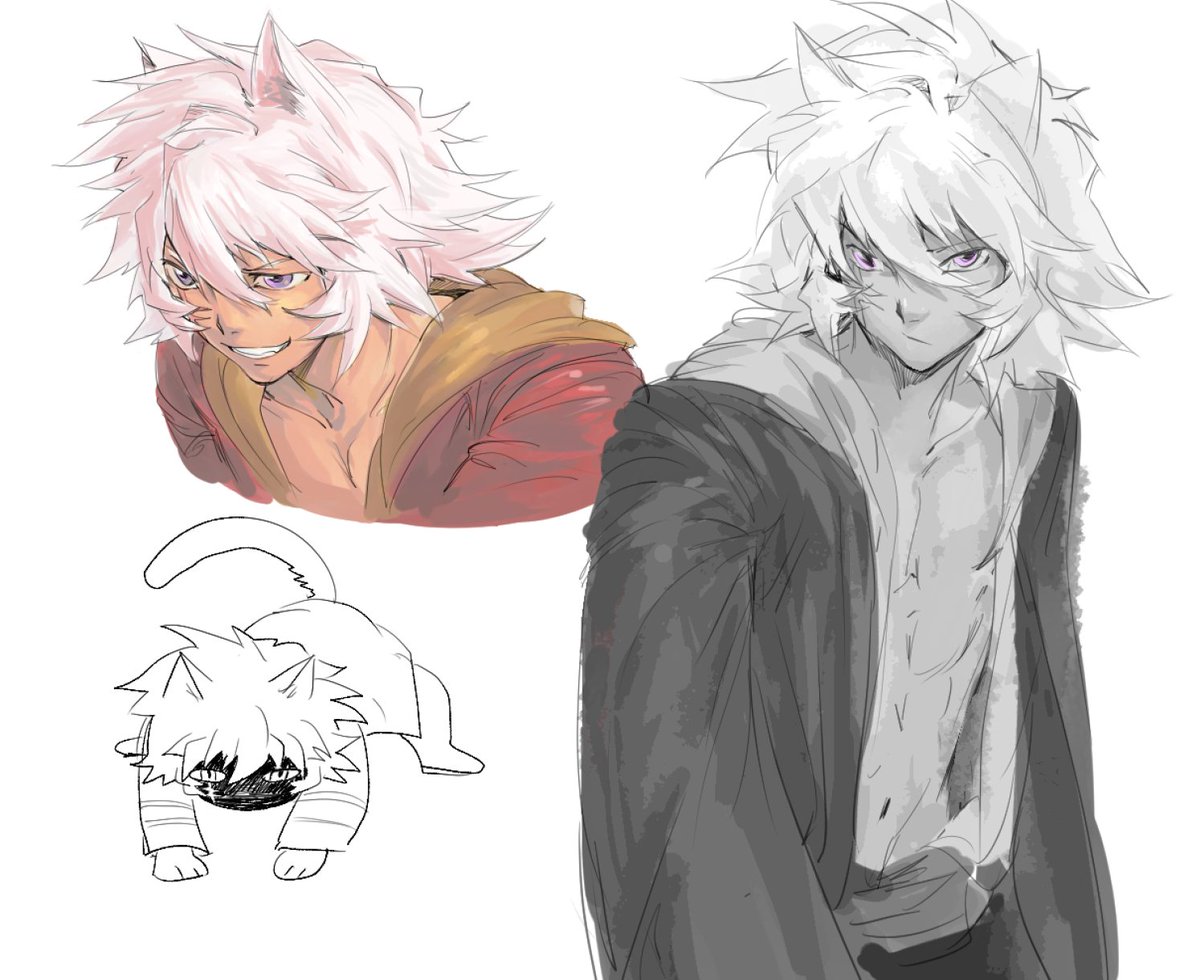 big cat #bakura