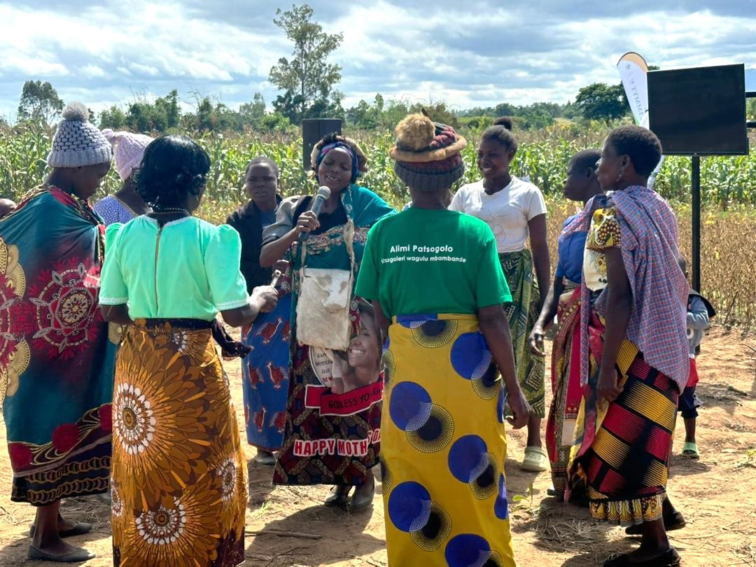 Farmers joined a virtual field day by AID-I & Total LandCare. With 250+ participants, they explored #sustainableintensification through co-learning. Host farmers showcased better maize & legumes, using innovative intercropping. #ConservationAg 👉 bit.ly/4acDxHG