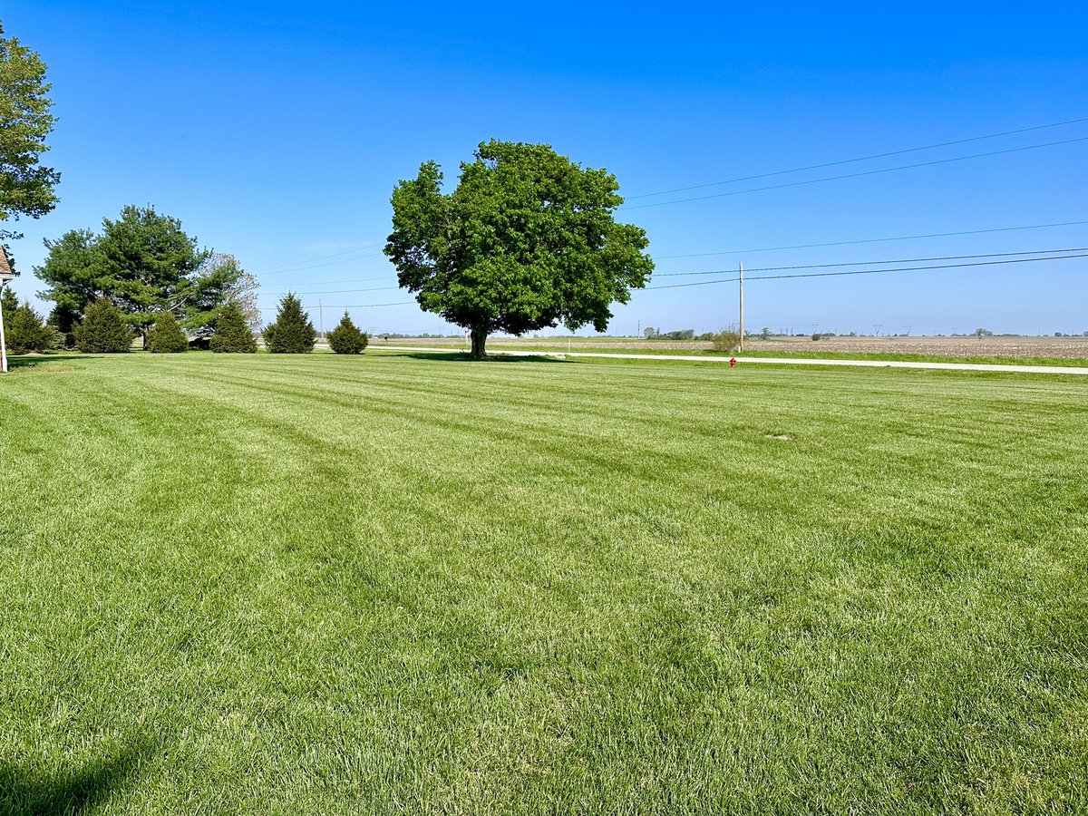 idealturf_rtf's tweet photo. What a difference! Seeded with the Turf Saver RTF last spring. The second pic taken this morning. It looked this great even this past fall. #magicgrass #turfsaverrtf  @BarenbrugUSA https://t.co/6Q5hbtWSsQ