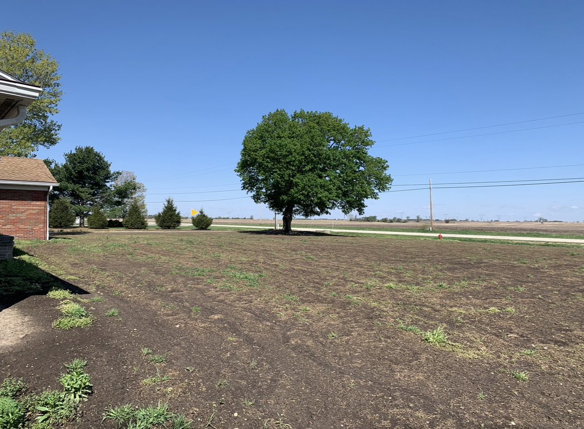 idealturf_rtf's tweet photo. What a difference! Seeded with the Turf Saver RTF last spring. The second pic taken this morning. It looked this great even this past fall. #magicgrass #turfsaverrtf  @BarenbrugUSA https://t.co/6Q5hbtWSsQ