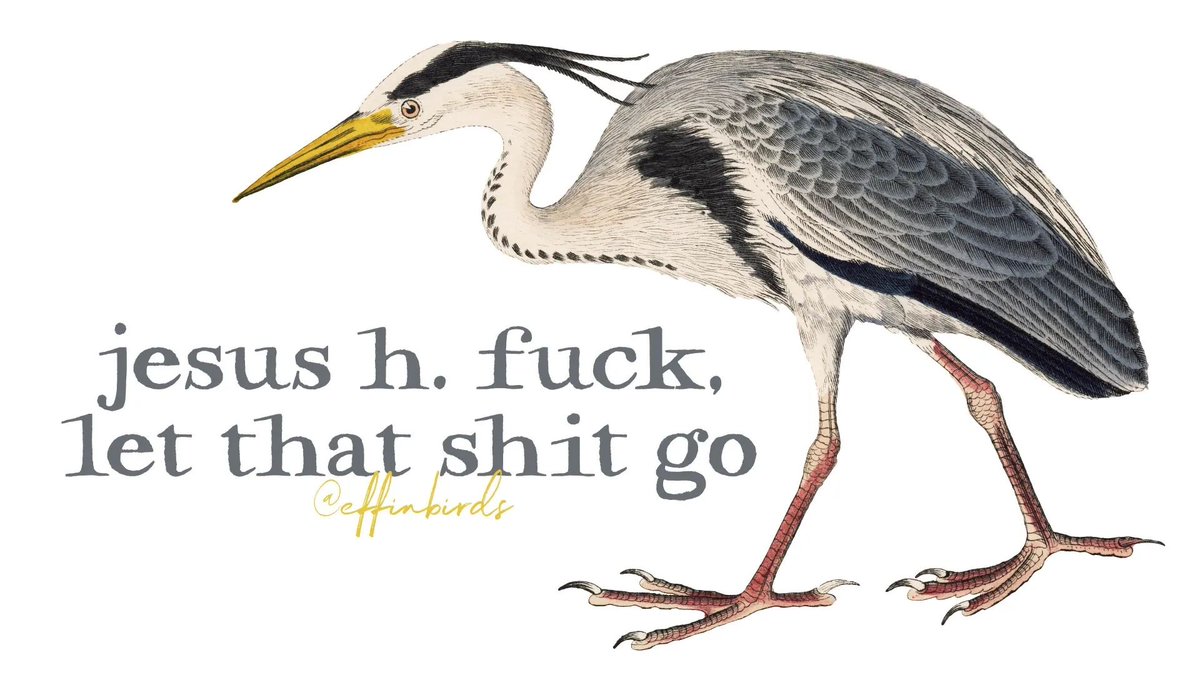 Effin' Birds (@EffinBirds) on Twitter photo 2024-04-25 15:14:02