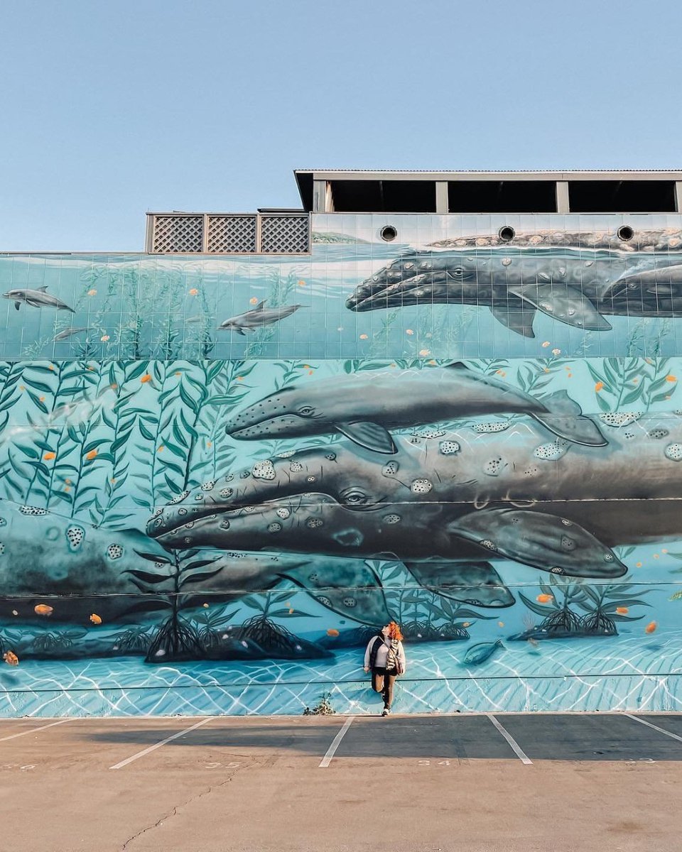 ✨“Into the ocean went a world more fantastic than any imagination could inspire” - Robert Wyland.✨Stop by Wyland Gallery to immerse yourself in this jaw-dropping mural & see the highest quality fine art that was inspired by the beauty of our blue planet!🐋💙 📸: shermieliving