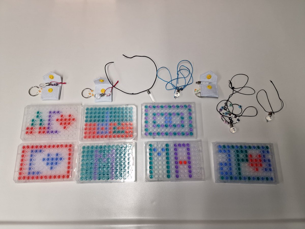 LOEWE Centre Translational Biodiversity Genomics (@loewe_tbg) on Twitter photo Another exciting #GirlsDay <a href="/LOEWE_TBG/">LOEWE Centre Translational Biodiversity Genomics</a> and <a href="/Senckenberg/">SENCKENBERG</a>! Engaging discussions about #genomics, #DNA, #labwork, followed by hands-on sessions, including pipetting & DNA extraction. 🧬The highlight: creating handmade necklaces with own DNA!
Huge thanks to all who participated! 🙏🏻 Another exciting #GirlsDay <a href="/LOEWE_TBG/">LOEWE Centre Translational Biodiversity Genomics</a> and <a href="/Senckenberg/">SENCKENBERG</a>! Engaging discussions about #genomics, #DNA, #labwork, followed by hands-on sessions, including pipetting & DNA extraction. 🧬The highlight: creating handmade necklaces with own DNA!
Huge thanks to all who participated! 🙏🏻