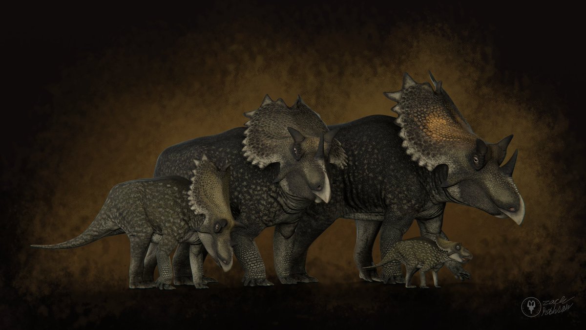 #utahceratops variations #paleoart #blender3d