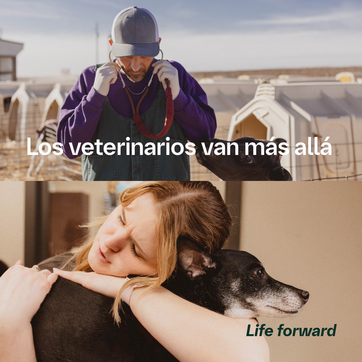 #PRENSA: Más de la mitad de los veterinarios que encuestamos recientemente junto a <a href="/kynetec/">Kynetec</a> sienten que su profesión es poco valorada. Conoce más sobre nuestros hallazgos y sobre su labor aquí bit.ly/4bbpyCs

#LifeForward #SaludAnimal #DíaMundialdelVeterinario
