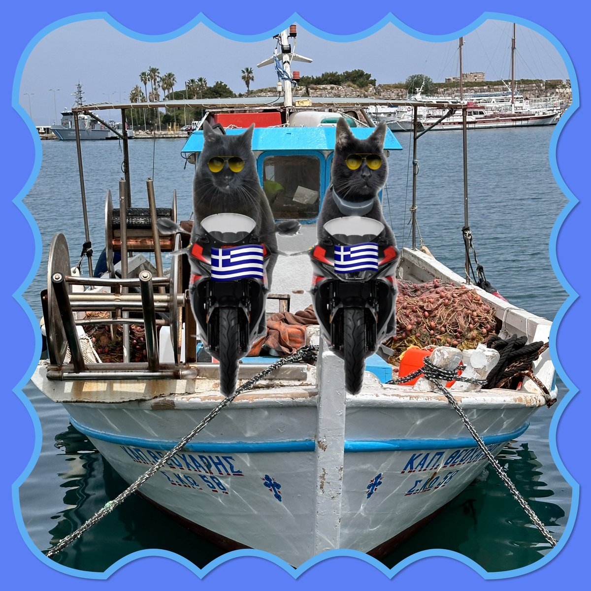 #Hedgewatch #theruffriderz #TwoGreekBrothers #PostcardFromKos @MunchPudding 💙🇬🇷Hey pals! We just arrived at Kos Harbour! We saw Mánkas’s mum’s walking along but they didn’t recognise us! 😹💙 Meow😹
