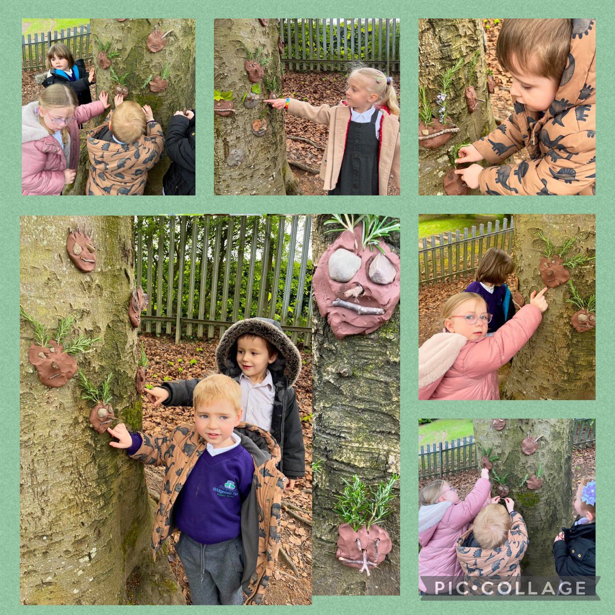 Nursery & Reception Bridgewater Park tweet media