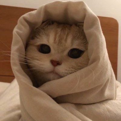 ..محبت حرام نہیں ہے..

بس آج کل کے محبوب حرامی ہیں۔
?  کیا یہ سچ بات ھے££?