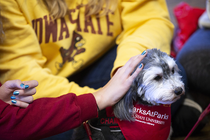 This academic year marks the 10th anniversary of the first Barks at Parks, when certified therapy dogs come to Parks Library's upper rotunda for some attention -- but really to help students relax during prep week. shar.es/ags5Tq
