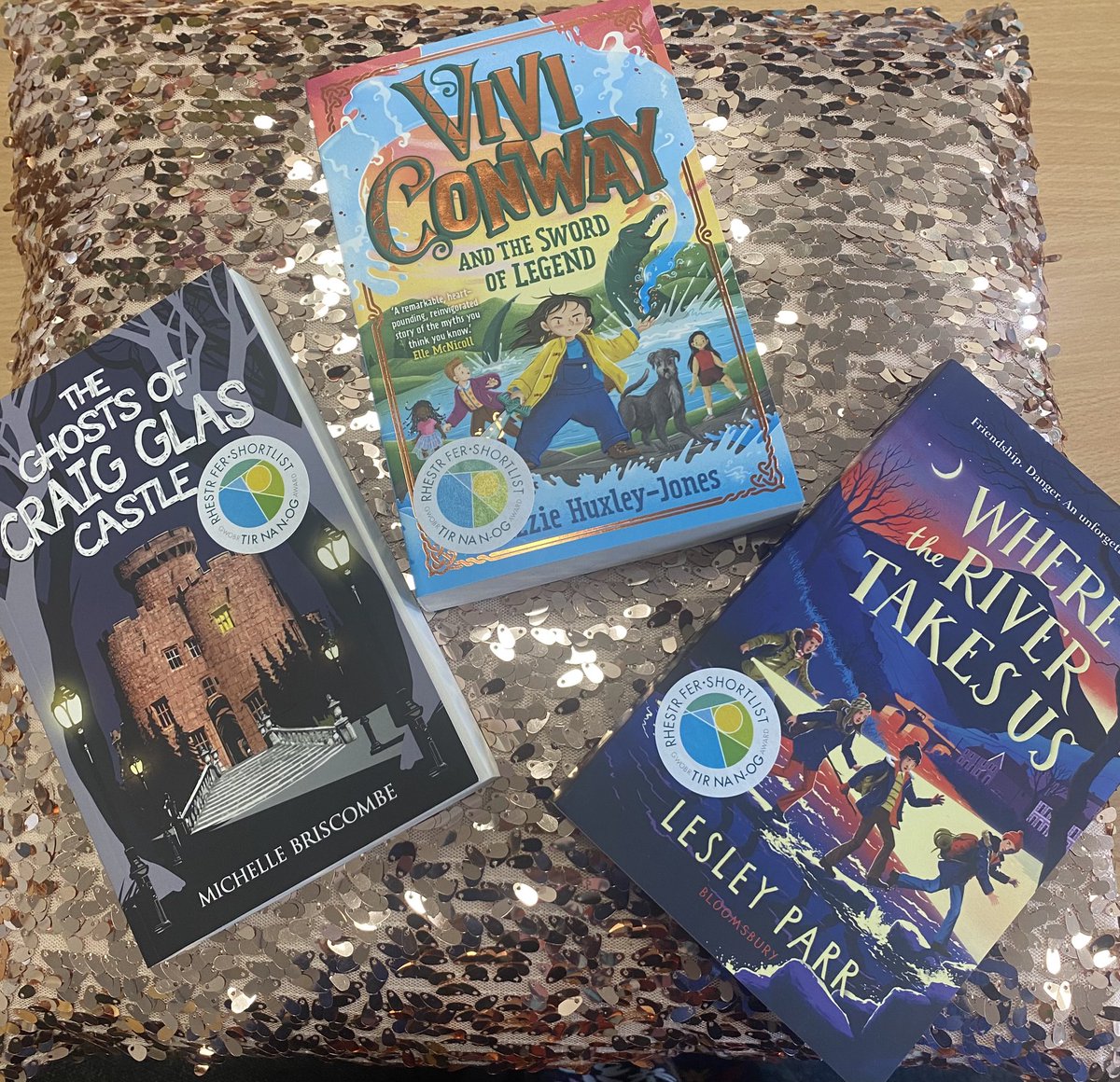 We cant wait to read and review these books that have been shortlisted for the Tir Na Nog award 2024 @ShonedD @LlyfrDaFabBooks @Books_Wales @WelshDragonParr @littlehux @MichelleBrisc