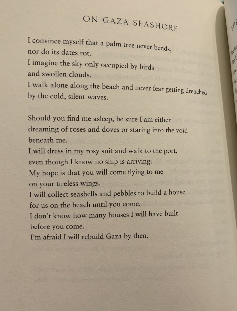 On Gaza Seashore by Mosab Abu Toha from Things You May Find Hidden In My Ear