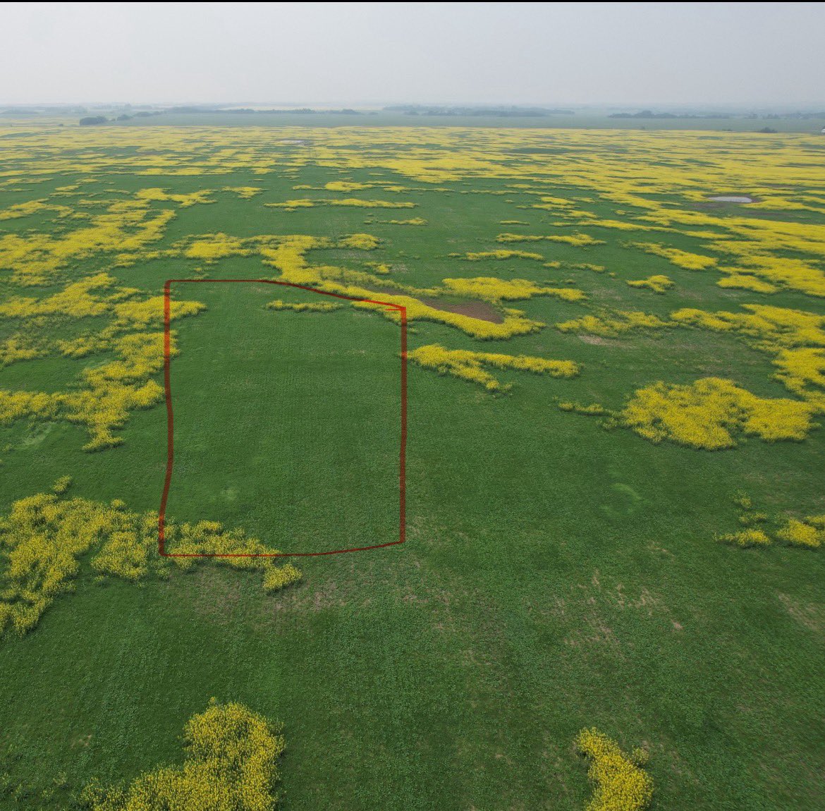 Jon Kauffman tweet media