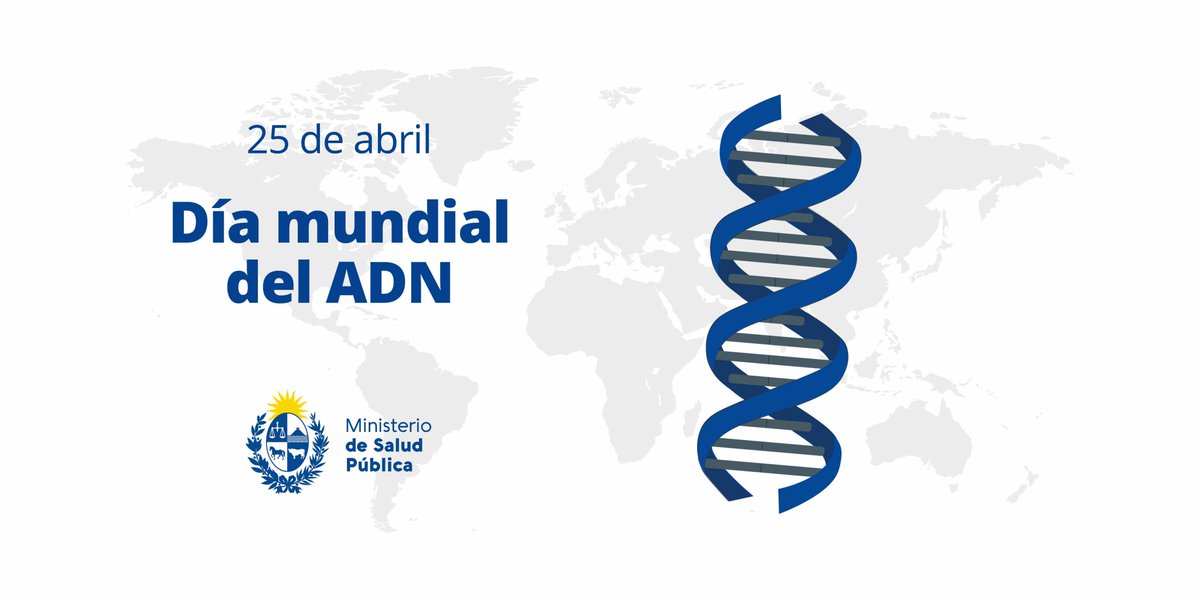 El MSP se adhiere a la conmemoración del Día Mundial del ADN con un repaso de los principales aportes de este avance en el área de la salud. ➡️ gub.uy/ministerio-sal…