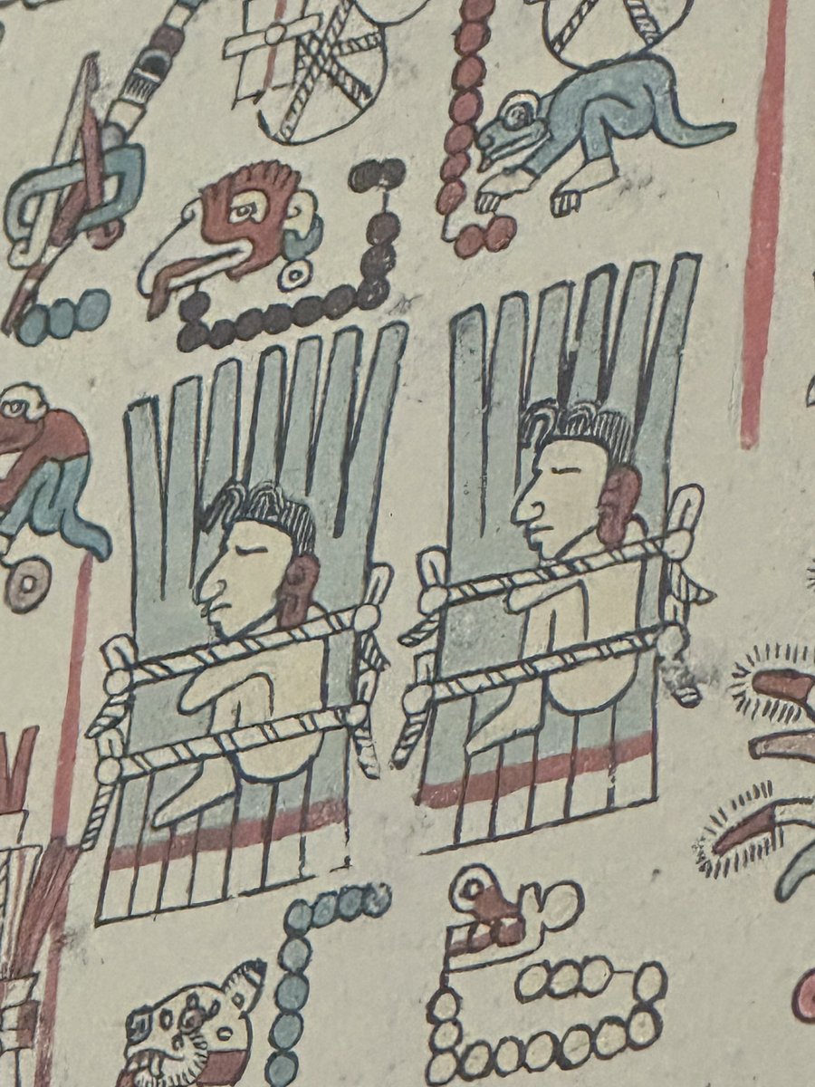 The Codex Zouche-Nuttall, which dates to the 14thC and is on display in @britishmuseum A Mixtec painted screen fold book it is, essentially, a narrative annal. It depicts dynastic succession from the 8thC or earlier and recounts 6 centuries of history. Read from right to left.