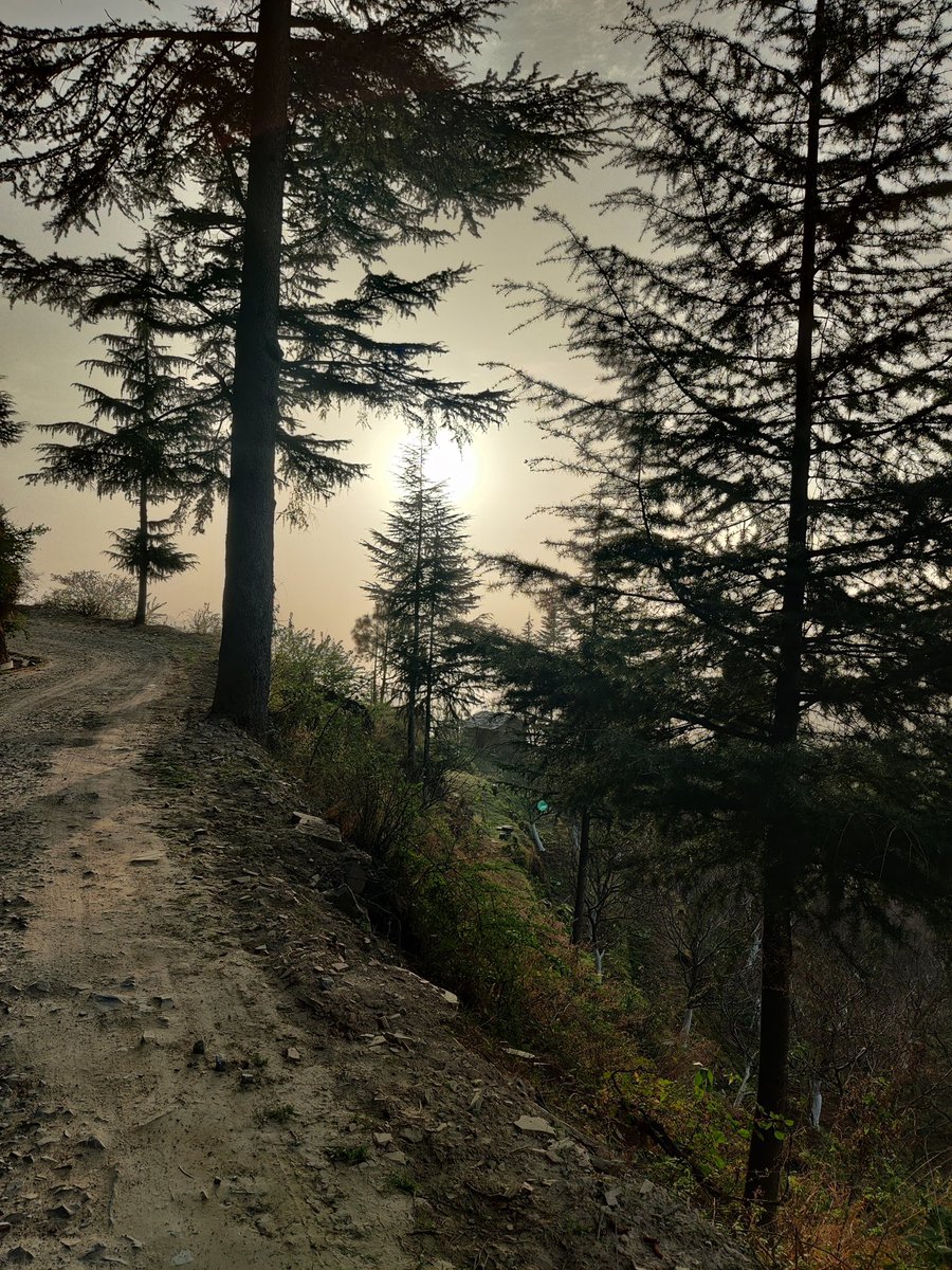 nc_hiphop_soul's tweet photo. Village roads>>>>>> https://t.co/GG8avnE4Ej