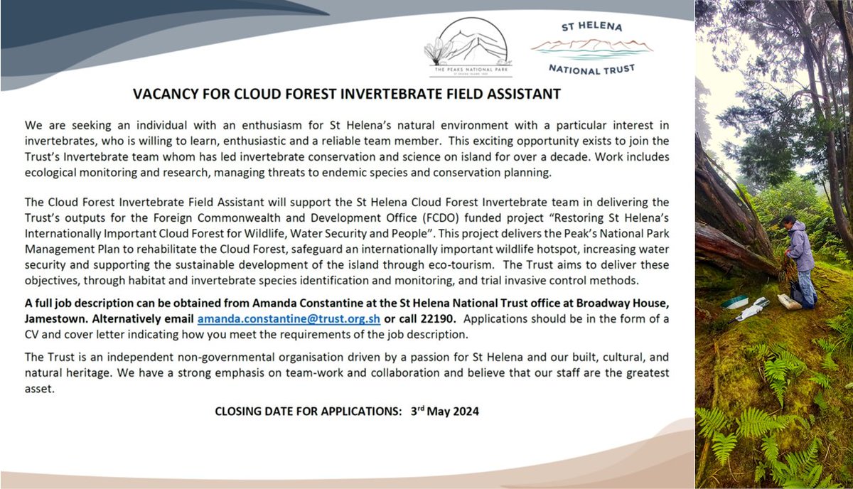 The @SHnationaltrust has an exciting opportunity to join their Invert Team as a Cloud Forest Invertebrate Field Assistant, supporting the St Helena Cloud Forest Project 🌳🐞⬇️ Apply before 3 May 📝 #SHCFP #SHNT #Vacancy