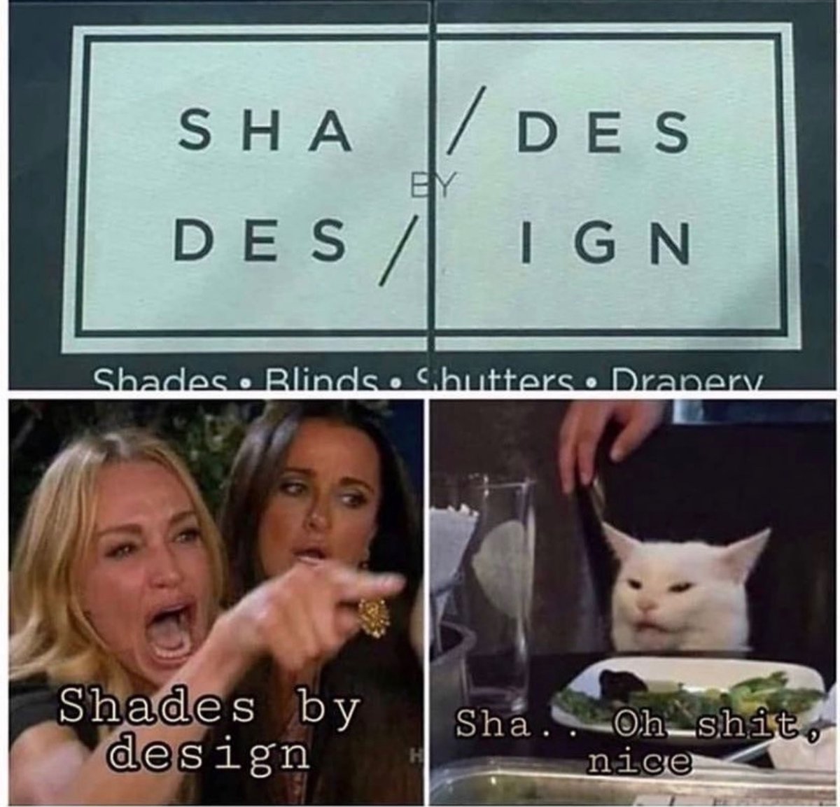 Out of Context Human Race tweet media