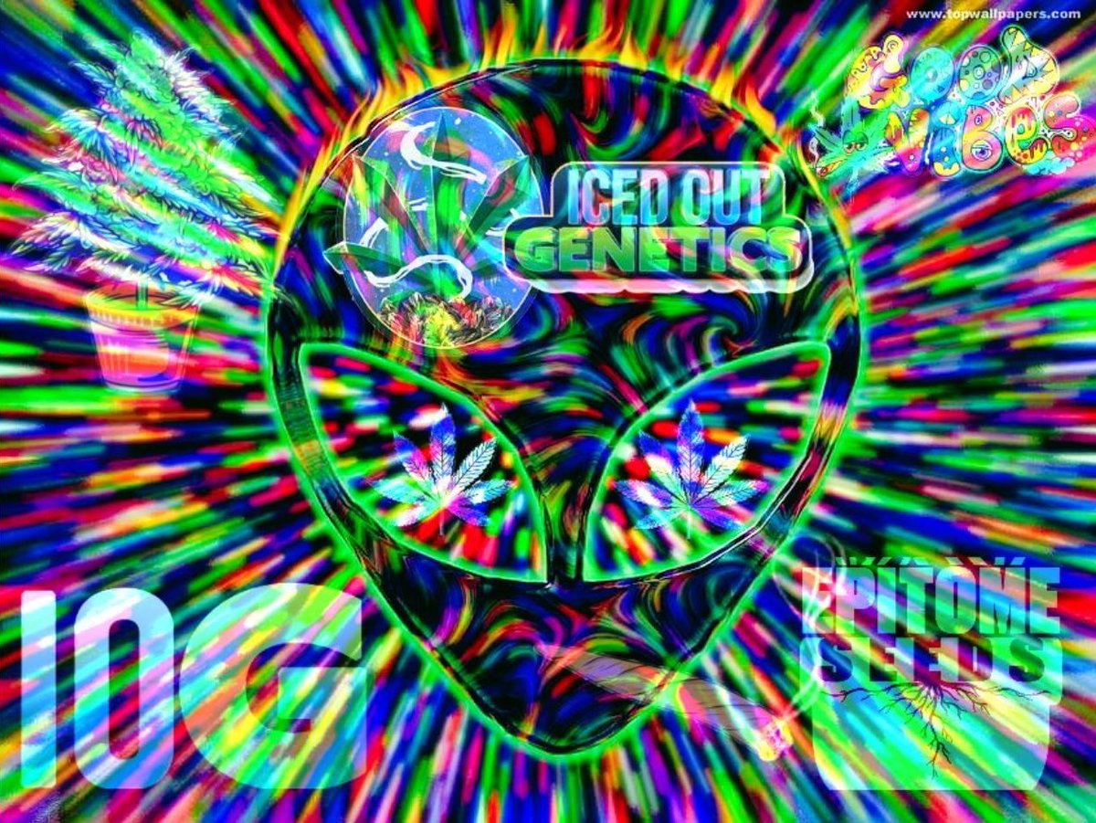 icedoutgen's tweet photo. Sharing this awesome edit from @420matt9191 as a small thank-you post for his effort in making this awesome edit, Absolute 🔥 Fam. https://t.co/TDKdqpVlGT