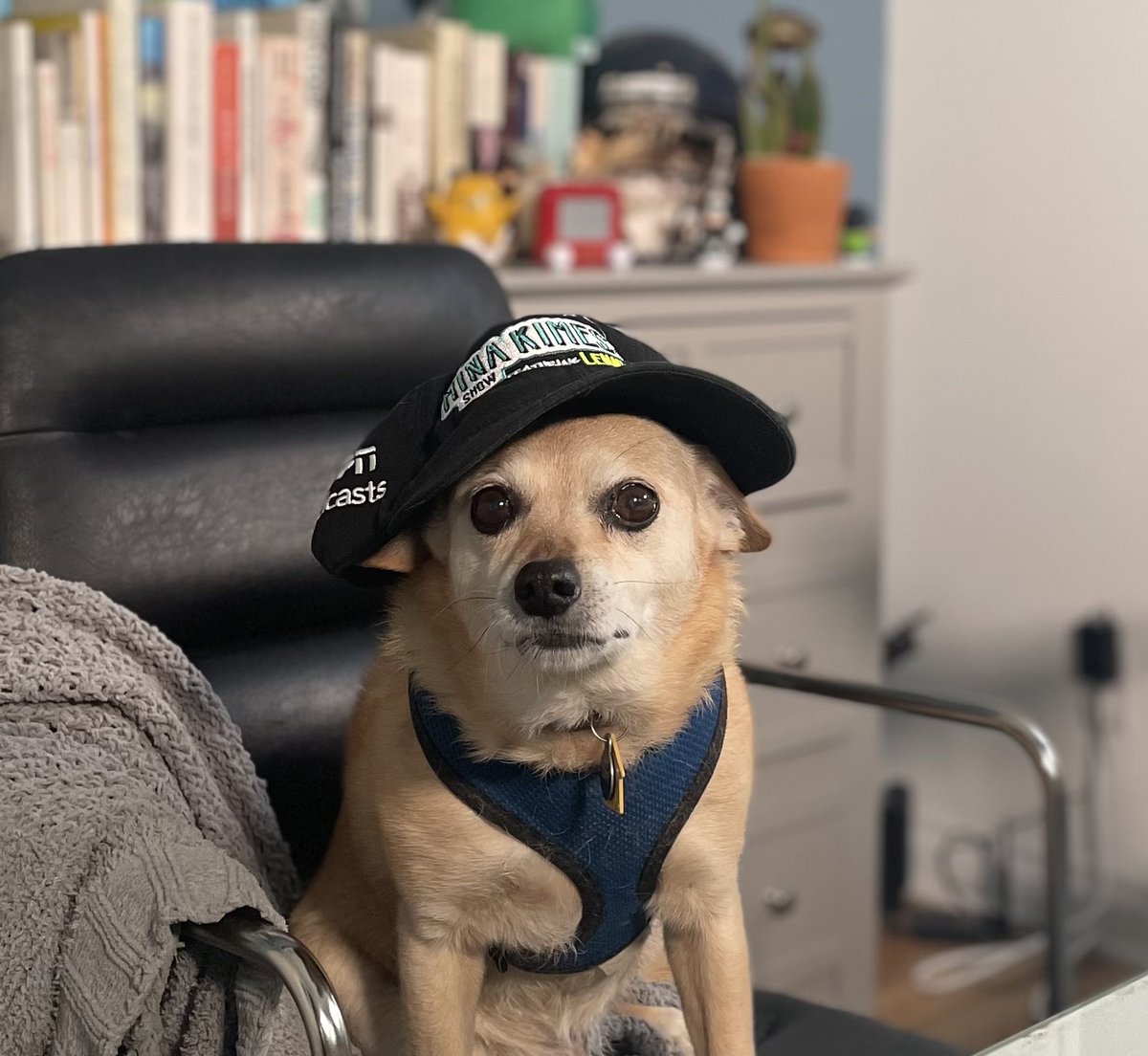 Some fun news: The Mina Kimes show featuring Lenny is nominated for a Shorty! Please vote and then reply w a screenshot—gonna pick two people at random to send limited edition hats 🐶 Vote here : shortyw.in/3WfE9IO