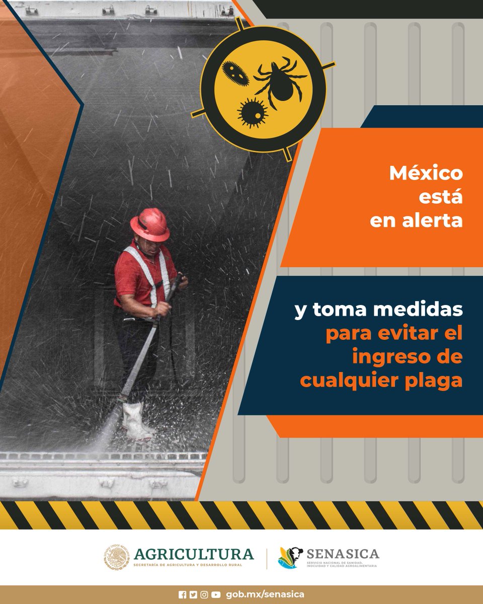SENASICA's tweet image. 🌍🚢 ¿Sabías que los contenedores marítimos pueden ser la puerta de entrada para plagas que amenazan nuestros cultivos? ¡Asegúrate de mantener limpios los contenedores para proteger al campo mexicano🚫🐛. #ProtecciónFitosanitaria #ControlDePlagas #PrevenciónDePlagas