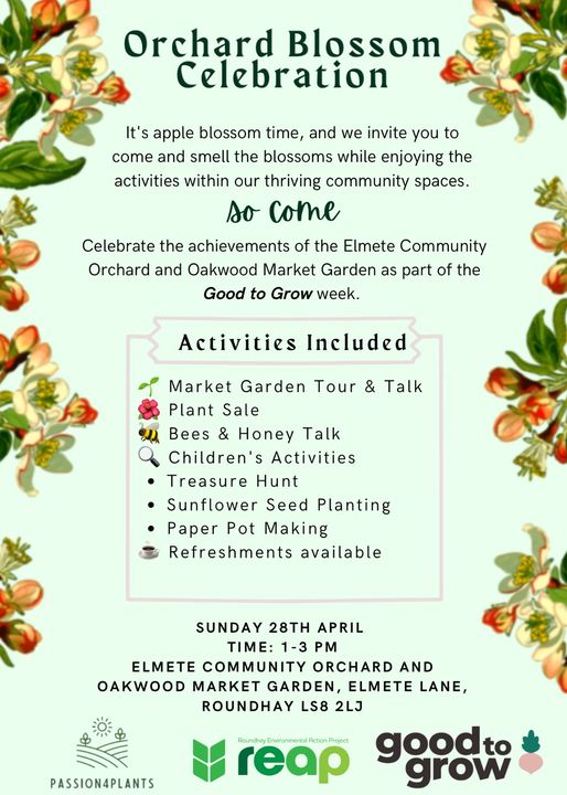 Orchard Blossom Celebration on Sunday in Roundhay @reapleeds @UK_Orch_Network