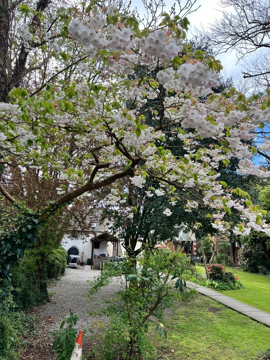 selkirkarms's tweet photo. Love the blossom bloom at this time of year, Kirkcudbright Town is looking stunning as we spring into Summer #Kirkcudbright
#scotlandstartshere
#eatscotland
#dumfriesandgalloway https://t.co/rOwhQGVRll