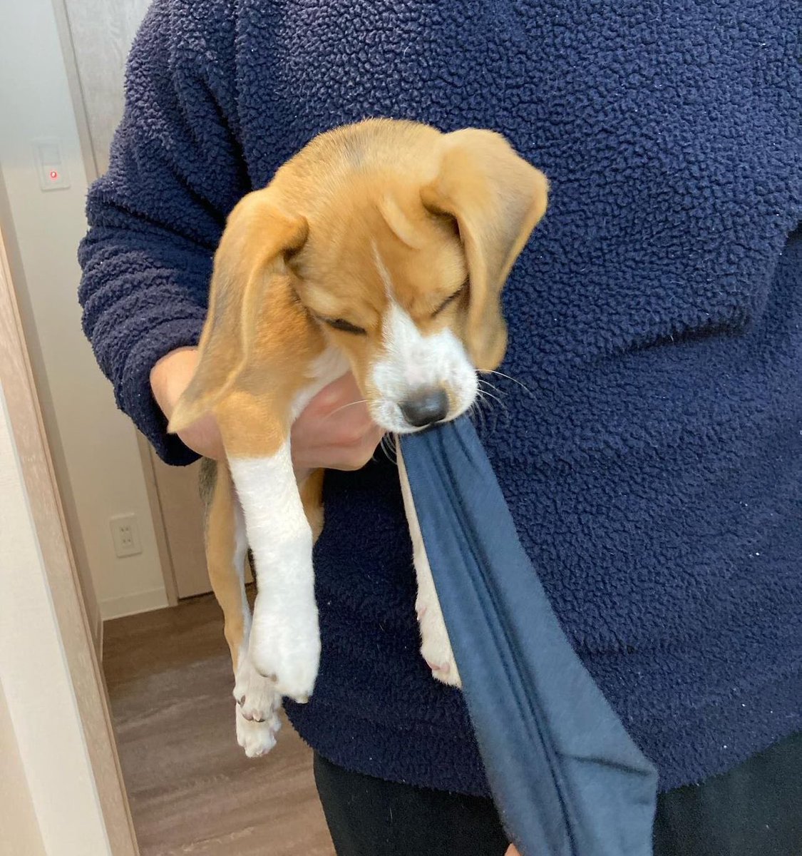 rwrbtzp's tweet photo. first prince meet-cute, where david grabs alex’s hoodie and doesn’t want to let go https://t.co/g9JHRFqfJk