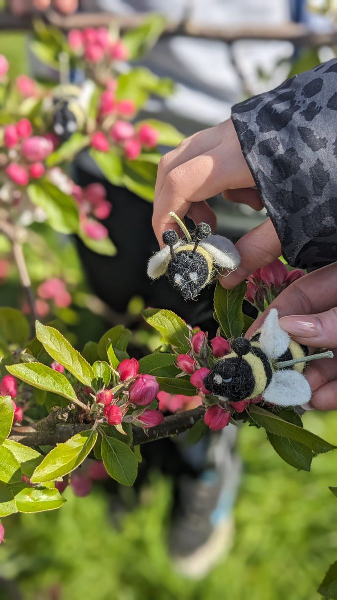 farm_leader's tweet photo. P6 farmers learned about pollination in our school orchard.  They played spot the bee, made some beautiful paper blossoms scented with lemon balm, and snacked on apple slices. 🍎 @CanalViewPSEdin #thisisLfS https://t.co/WpBeAHZHvs