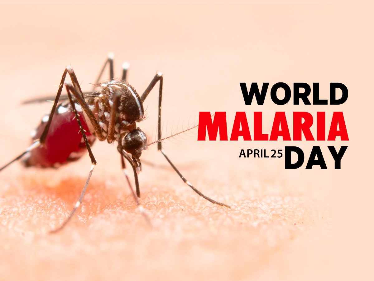 ACOPAL_Burundi's tweet photo. 🌍⚕️ A l'occasion de la #WorldMalariaDay, nous nous joignons au monde dans la #LutteContreLePaludisme : personne ne devrait mourrir à cause d’une piqûre de #Moustique 

#Burundi #Santé

📸: @MSF https://t.co/z14BQIxfK1