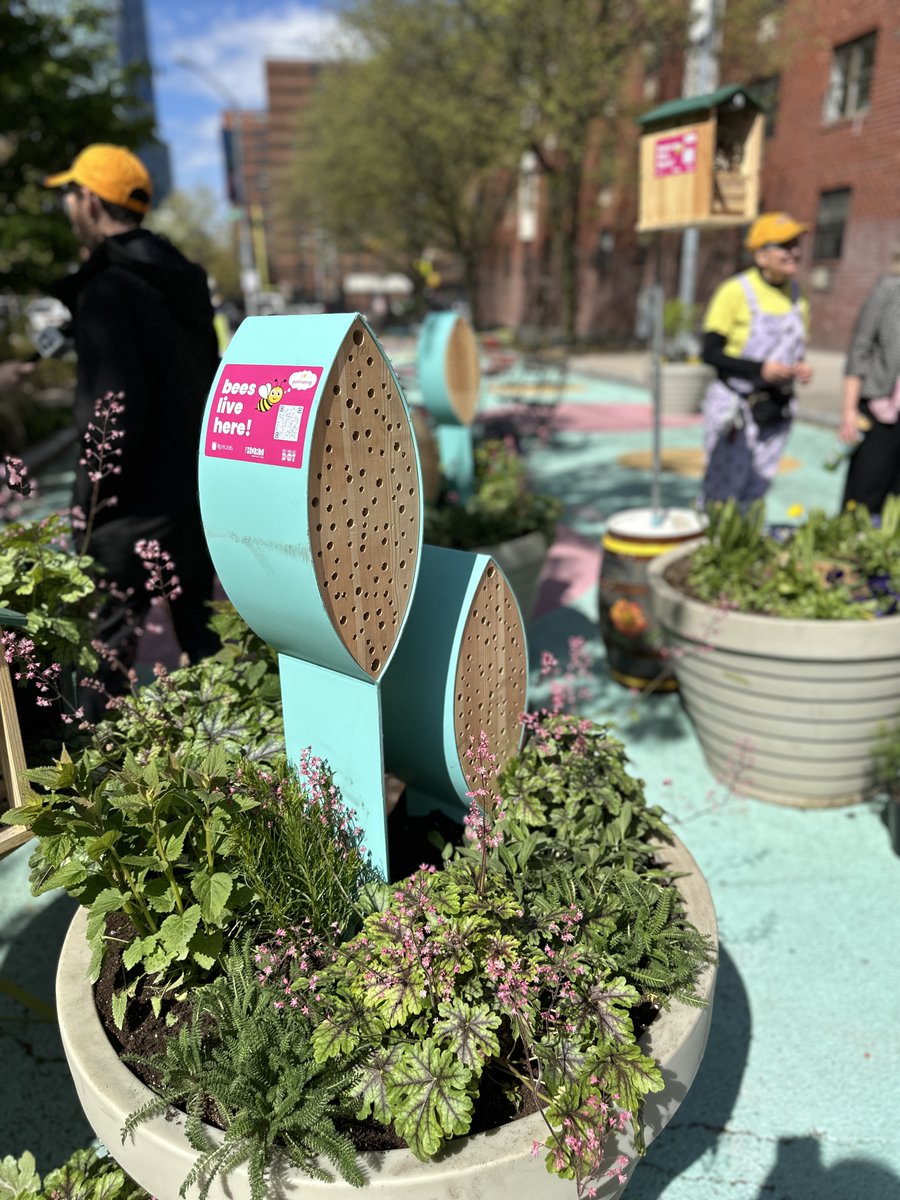 No, this isn't a $4,000 one bedroom apartment in Manhattan...it's a bee hotel! 🐝 Introducing the Pollinator Port Project to create habitats for at-risk native bee populations around NYC: bit.ly/4balMZR