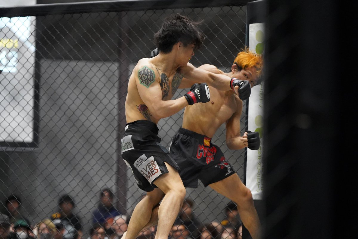 kanino_uragawa's tweet photo. 木曜金町キック
本日は会長ミット
修斗香川大会FORCE19の裏DVDが発売されました
過去FORCEイチの大会です
贔屓目無しに、素晴らしい興行でした
私がイタコに還る姿を、是非御覧下さい
是非皆様一人19万枚ずつご購入をお願い致します
#shooto0324
#FORCE19
#霊峰
#写真gigio
https://t.co/C3GHvKunvv https://t.co/HATenUmSQ9