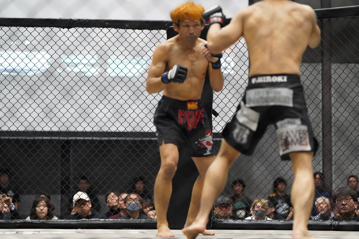 kanino_uragawa's tweet photo. 木曜金町キック
本日は会長ミット
修斗香川大会FORCE19の裏DVDが発売されました
過去FORCEイチの大会です
贔屓目無しに、素晴らしい興行でした
私がイタコに還る姿を、是非御覧下さい
是非皆様一人19万枚ずつご購入をお願い致します
#shooto0324
#FORCE19
#霊峰
#写真gigio
https://t.co/C3GHvKunvv https://t.co/HATenUmSQ9
