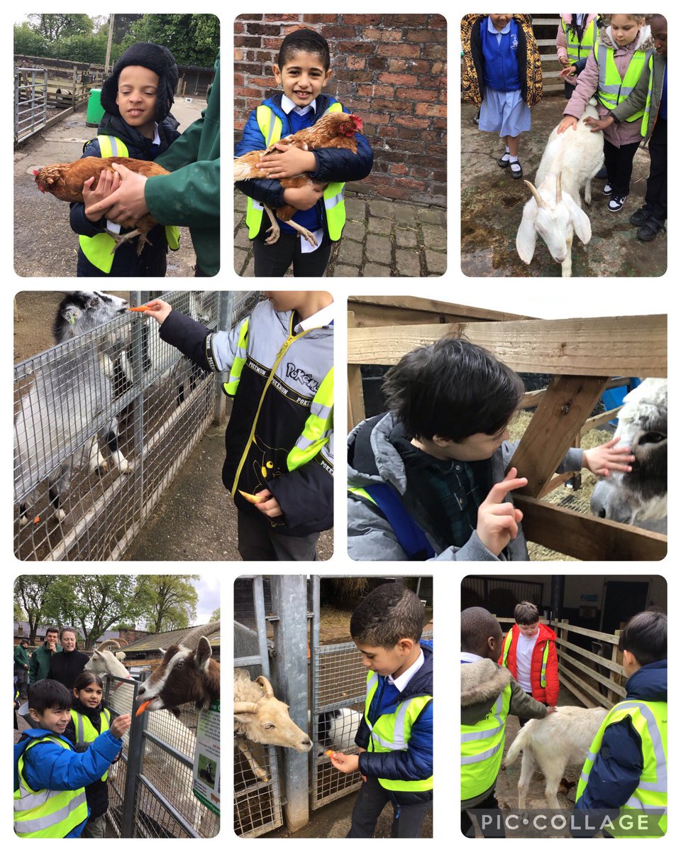 KensingPrimary's tweet photo. What a brilliant afternoon 🤩🤩 @CroxtethFarm #3HS https://t.co/N6fdDUxknq
